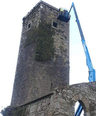 Dangerous Tree Removal