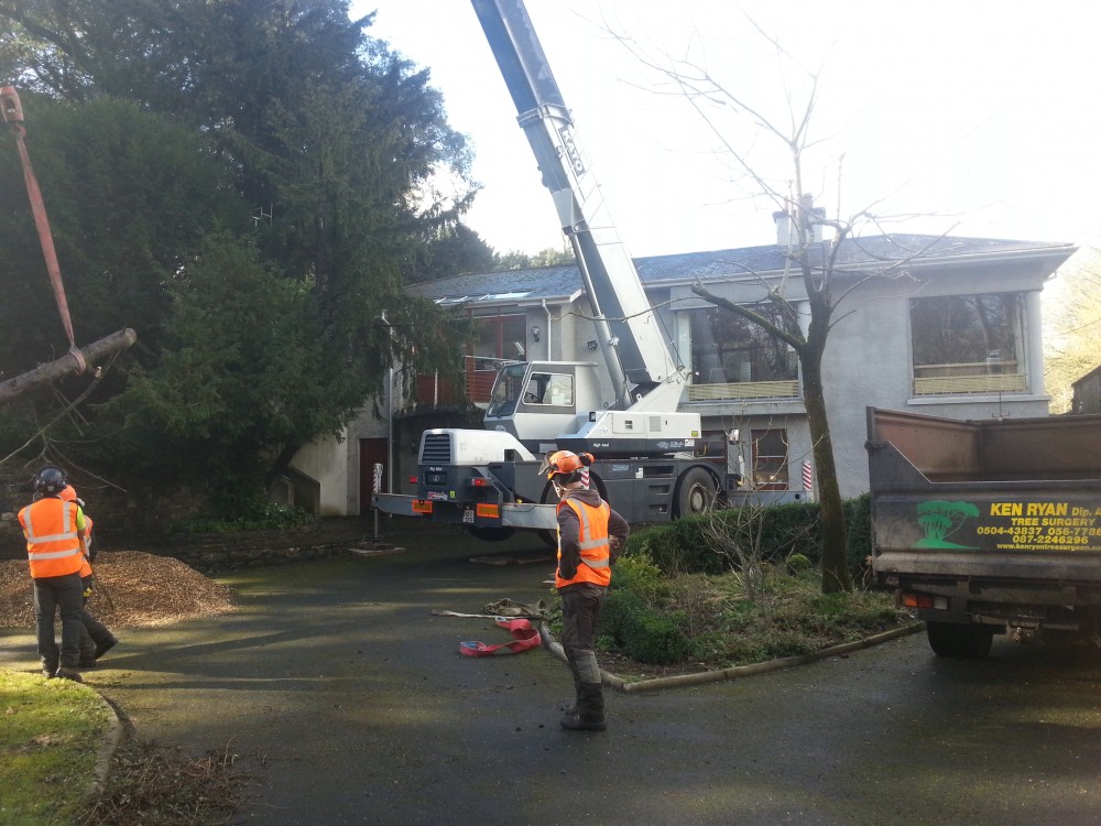 Tree removal in tight spaces